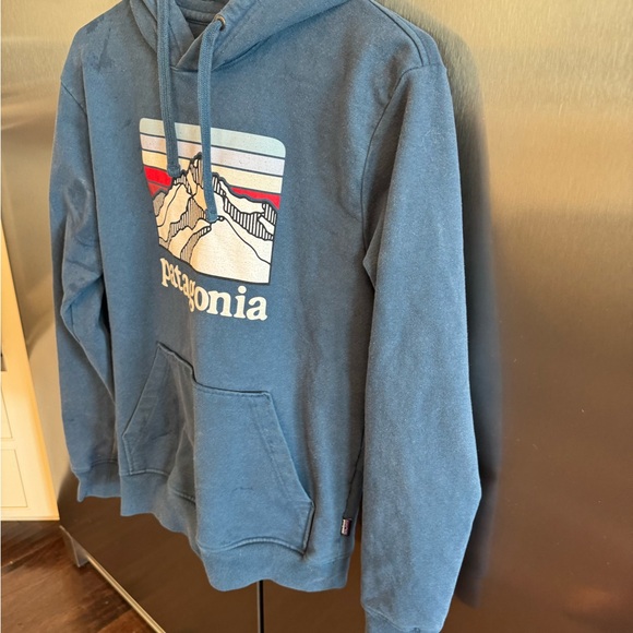 Patagonia hoodie size small - Picture 4 of 6